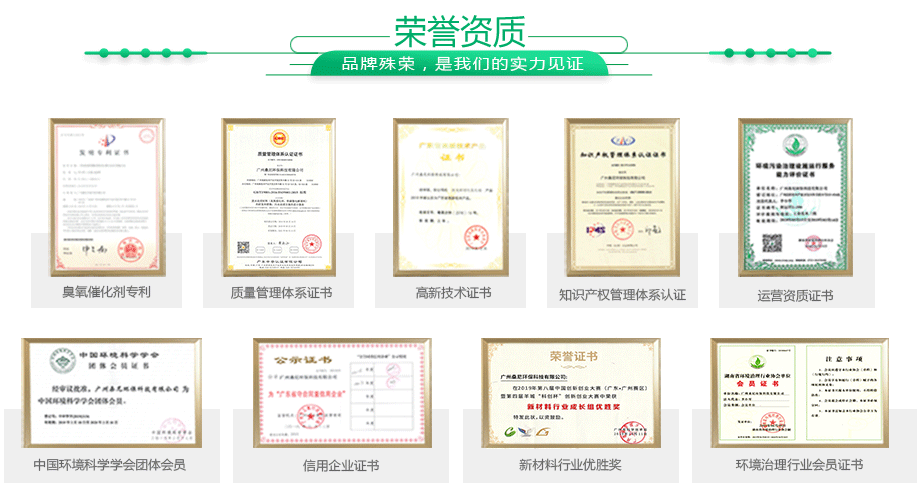 垃圾（jī）滲濾液高效處理工（gōng）程廠家榮譽證書
